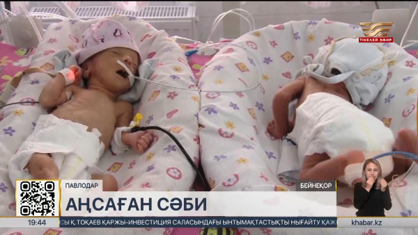 &laquo;Аңсаған сәби&raquo;: Павлодар облысына 266 квота бөлінді