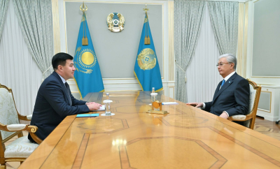 Глава государства принял бенефициарного собственника Integra Construction KZ