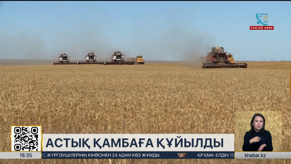 Күзгі жиын-терім: астық қамбаға құйылды