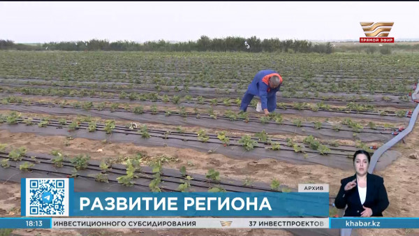 На границе с Китаем откроется новый пункт пропуска