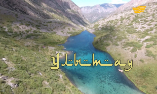 &laquo;Бюро расследований&raquo;. Улытау