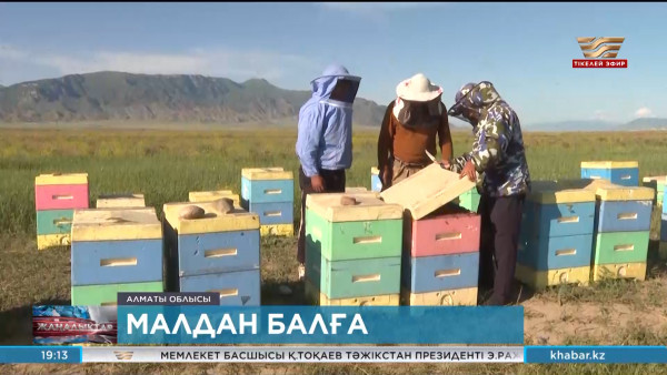 Нарынқол ауданы &ndash; омарта ісімен айналысуға қолайлы мекен