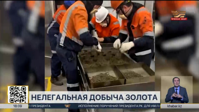 Незаконную добычу золота выявили в ВКО