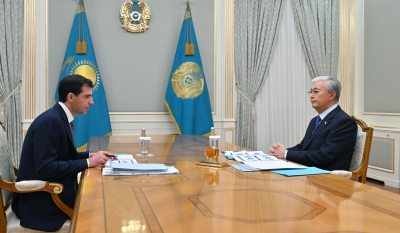 Мемлекет басшысы «Qarmet» АҚ директорлар кеңесінің төрағасын қабылдады