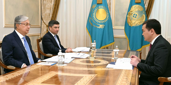 Касым-Жомарт Токаев принял акима Астаны Жениса Касымбека