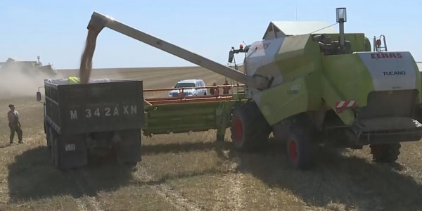 Қарағанды шаруалары субсидияға сусап отыр