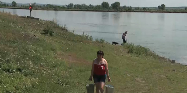 Шемонаиха ауданы Барашки ауылының тұрғындары ауызсуға жарымай отыр