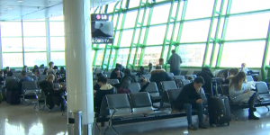 В столичном аэропорту организовали штаб родственников погибших и пострадавших в авиакатастрофе