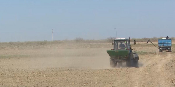 Алматы облысында суармалы су, жайылымдық жер жетіспейді