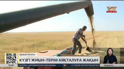 Ақмола облысында егіннің 98 % жиналды