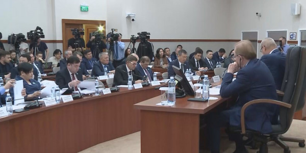 Мәжіліс депутаттары алдында Энергетика министрі жаңа заң жобаны таныстырды