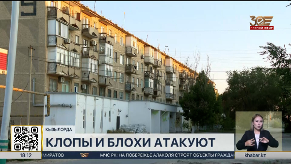 Квартиры кызылординцев атакуют клопы и блохи
