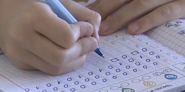 Последняя учебная четверть: кто и как будет посещать уроки