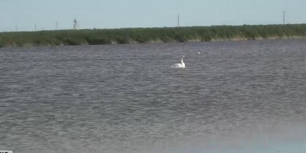 БҚО-ның Жаңақала ауданындағы өзен-көлдерге су мол жиналды