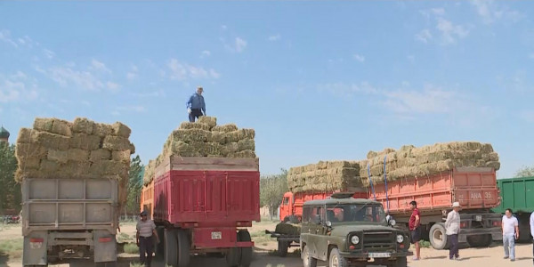 Маңғыстауда ауыл шаруашылығы мәселесі тұрақталып келеді