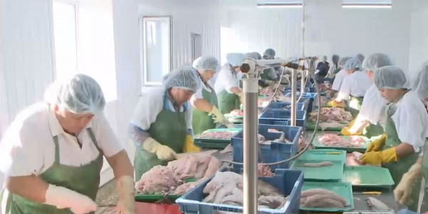 Сыртқа сатылатын балық көлемі азаюы мүмкін