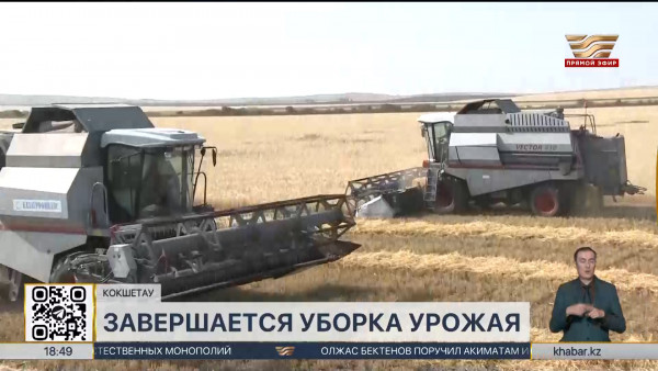 Свыше 24 миллионов тонн зерна собрали казахстанские аграрии