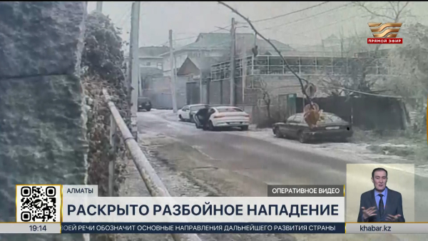 Полицейские Алматы раскрыли разбойное нападение с ущербом почти в ₸30 млн