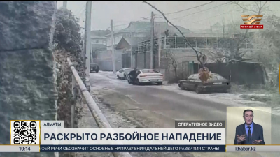 Полицейские Алматы раскрыли разбойное нападение с ущербом почти в ₸30 млн