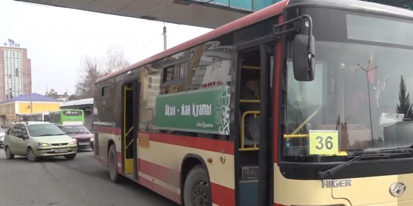 Библиотеки на колесах запустили в Семее