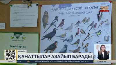 Алматыдағы құстардың саны күрт азайды
