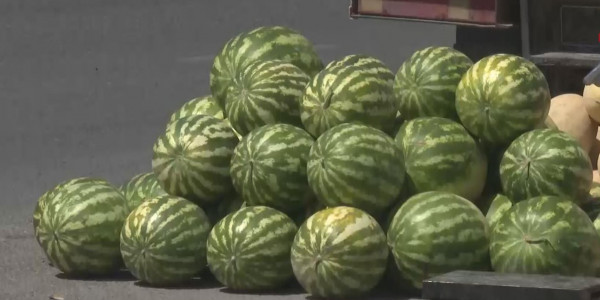 Шымкентте бақша дақылдарынан 150 адам уланды