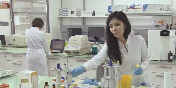 Қазақстан Ислам ынтымақтастығы ұйымы елдерінің студенттеріне 100 білім грантын бөлуге дайын