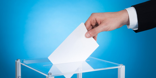 Ауыл әкімдерін сайлау: 71 үміткердің құжаты кері қайтарылды