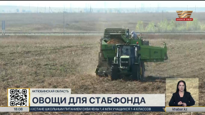 В Актобе заложат более 13 тысяч тонн овощей в стабфонд