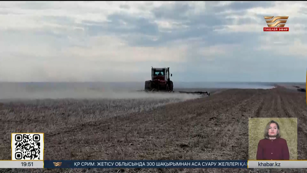 Қостанайлық диқандарды киік санының көбеюі алаңдатып отыр