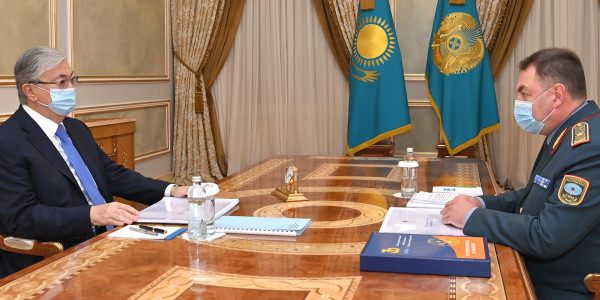 ҚР Президенті Төтенше жағдайлар министрі Юрий Ильинді қабылдады