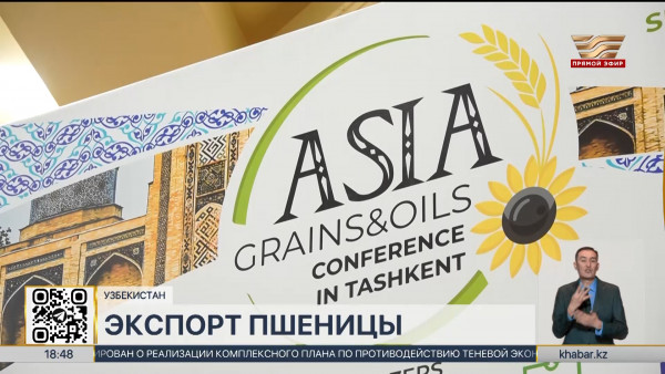 Почти 2 млн тонн зерна экспортировано из Казахстана в Узбекистан в 2024 году