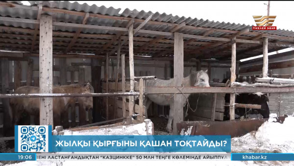 Жылқы қырғыны қашан тоқтайды?