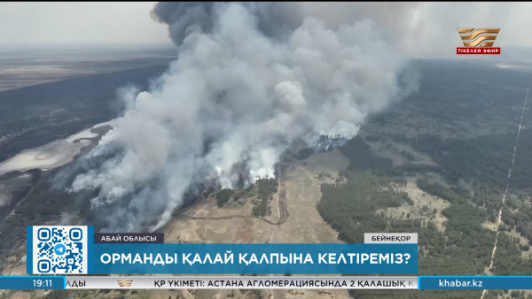 Орманды қалай қалпына келтіреміз?