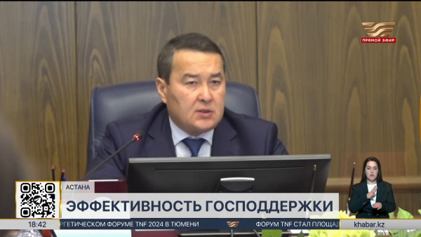 Алихан Смаилов раскритиковал крупнейшие нацкомпании страны