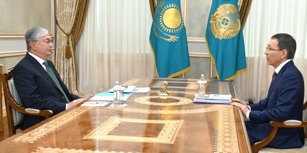Глава государства принял председателя ЦИК Нурлана Абдирова