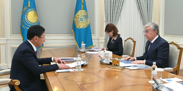 Мемлекет басшысы Ұлттық спорт қауымдастығының президенті Исламбек Салжановты қабылдады