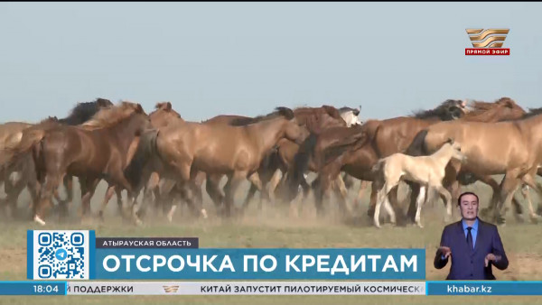 Отсрочку по кредитам получат фермеры двух районов в Атырауской области