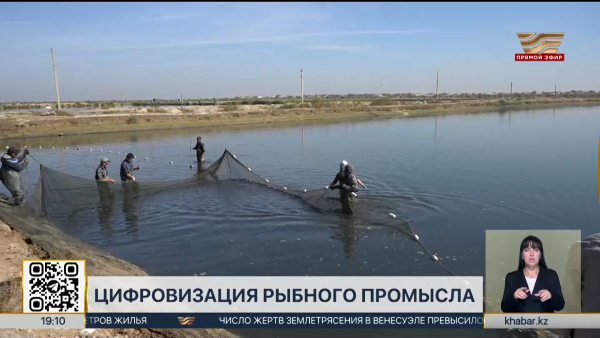 В Казахстане сокращают теневой оборот рыбы