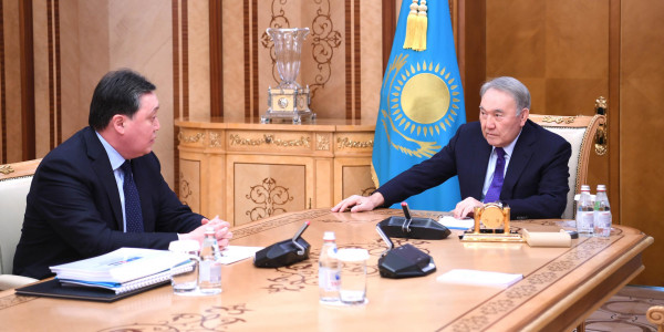 Елбасы принял А. Мамина