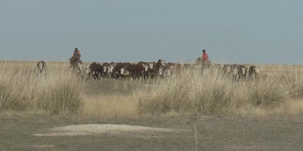 &laquo;Ауыл&raquo; партиясы: Жұқпалы дертке қарсы вакцина мемлекет есебінен сатып алынуы тиіс