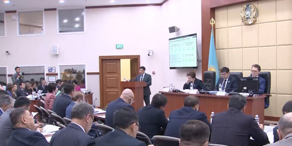 Мәжілісте жаңа республикалық бюджет жобасы сынға алынды