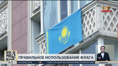 Глава государства высказался о культуре использования флага