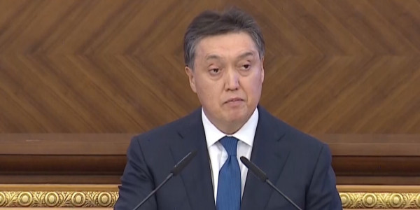 А.Мамин: Новая реальность требует кардинальных изменений в экономической политике