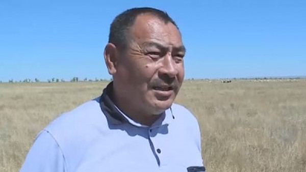 Ақтөбе облысында суармалы алқаптар артты