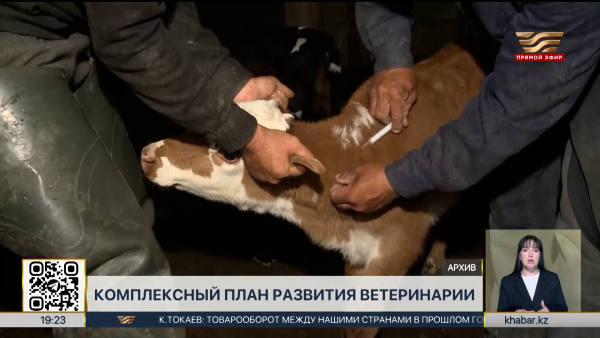 Комплексный план развития ветеринарии утвердили в РК