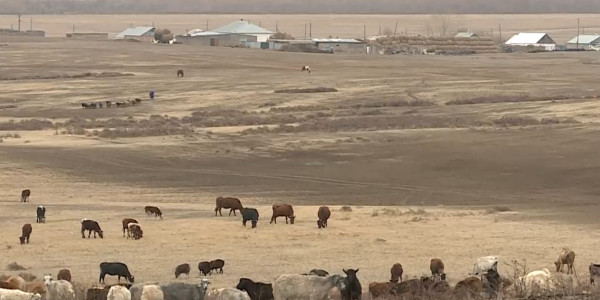 Қарағанды облысының Бұқар жырау ауданында атаусыз ауыл бар