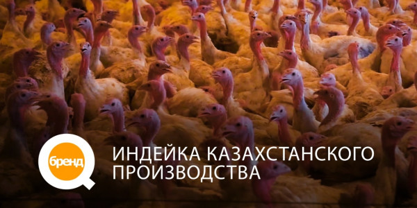 &laquo;Q-бренд&raquo;. Индейка Казахстанского производства