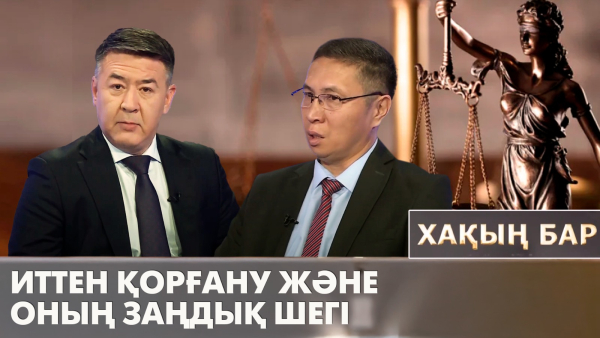 Иттен қорғану және оның заңдық шегі. «Хақың бар»