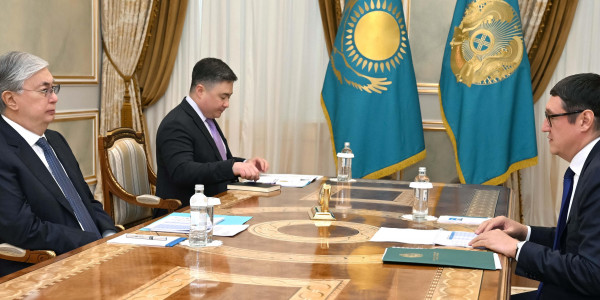 Мемлекет басшысы Энергетика министрін қабылдады